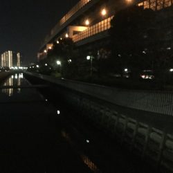 ドブ川メッキゲーム