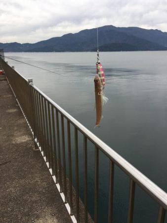 日和良ければ釣果なし⁉︎