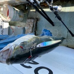 年末最後のジギング