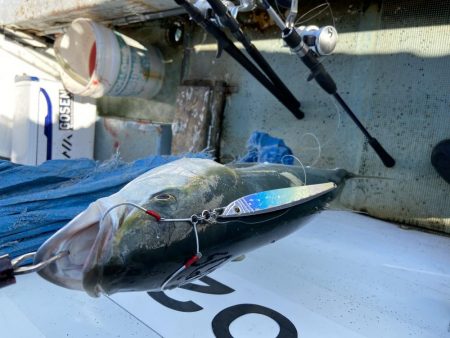 年末最後のジギング