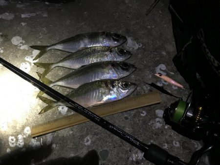 なぜ休みはいつも風が強いのさ