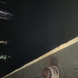 仕事が終わったら私事だぜ