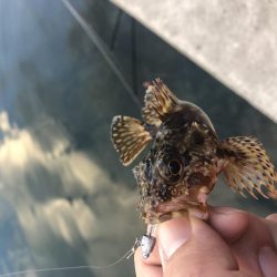 小さいけどポツポツと