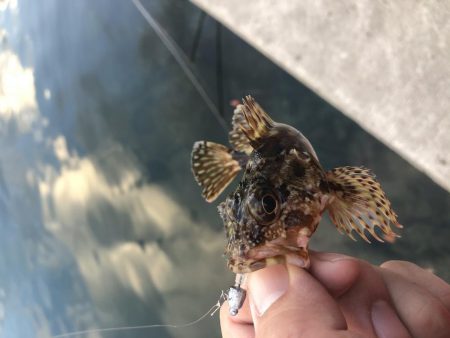 小さいけどポツポツと