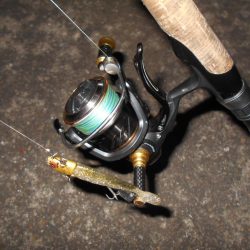 スレるのが早い…。