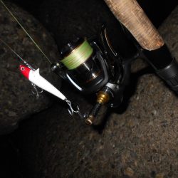 開始早々から連続ヒット♪