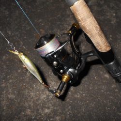 タチウオが入ると駄目になる…。