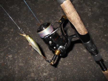 タチウオが入ると駄目になる…。