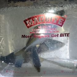 メバリング？アジング？！