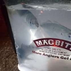 そろそろ終わり？