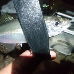 雨の中少しだけ