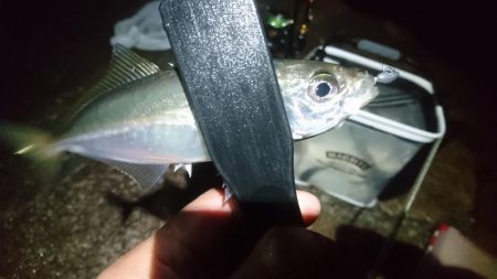 雨の中少しだけ