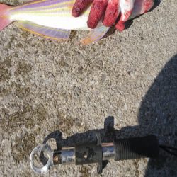 ショアジギング