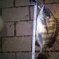 クリスマスだろうが関係なし