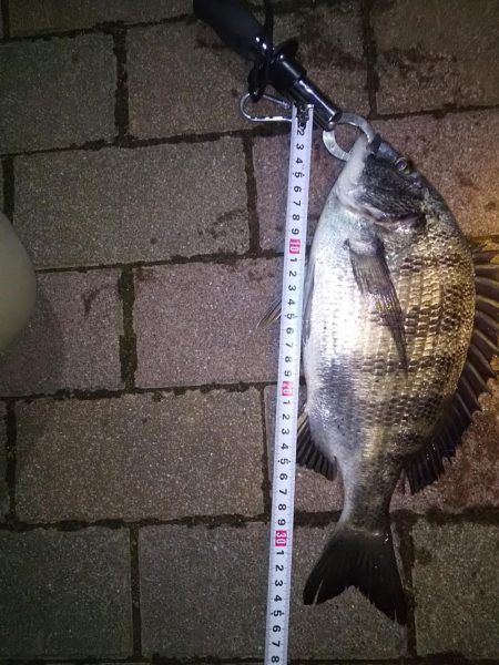 クリスマスだろうが関係なし