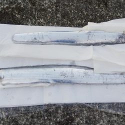 黙ってセットアッパー投げとけ！