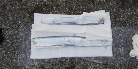 黙ってセットアッパー投げとけ！