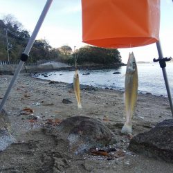 今年最後の釣・・その２