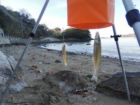 今年最後の釣・・その２