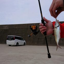 釣り納め（2回目）