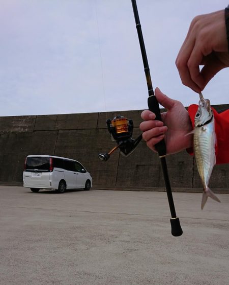 釣り納め（2回目）