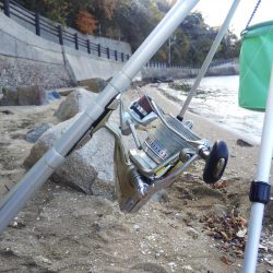 今日は当たり少ない⁉️