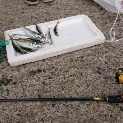 釣り納め（4回目）