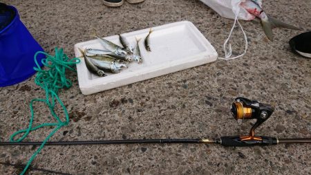 釣り納め（4回目）