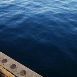 タチウオ終盤戦好調