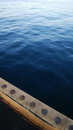 タチウオ終盤戦好調