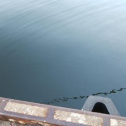 大晦日タチウオ釣り