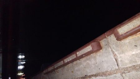 最湾奥ポイント釣行