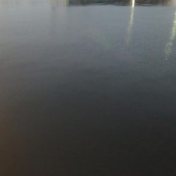 タチウオ最終盤