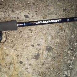 ぶらシーバス!!