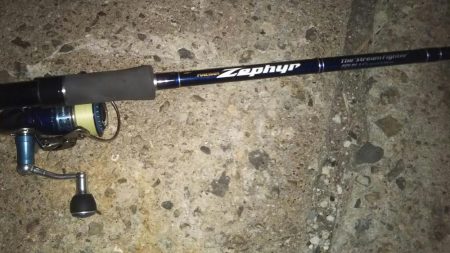 ぶらシーバス!!