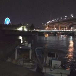 ぶらシーバス！！