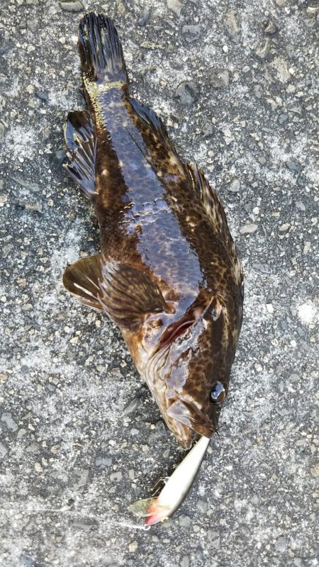 ぶら河川調査！！