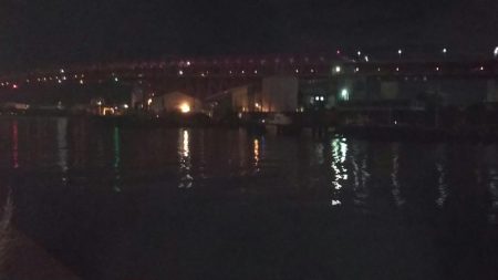 ぶらシーバス！！