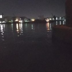 ぶらシーバス!!