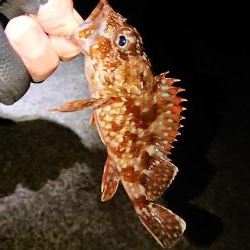 どこも渋く小さい