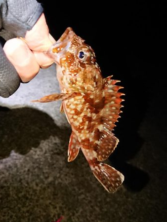 どこも渋く小さい