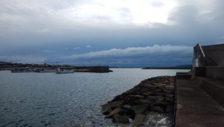 江井ヶ島海岸で落ちギス釣り