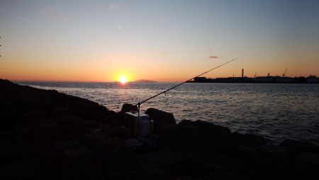 東二見人工島西水道へ落ちギス調査