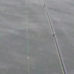 姫路で釣り収め?