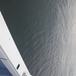 メーターオーバー来たー