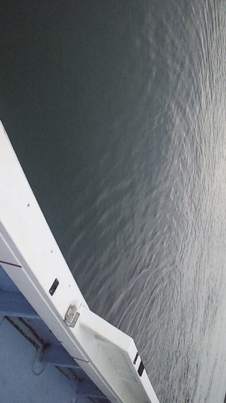 メーターオーバー来たー