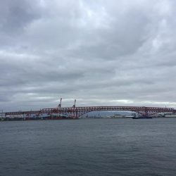 湾奥もタチウオ終了です。