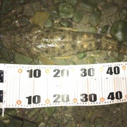 ハイシーズンを逃しての紀ノ川へ