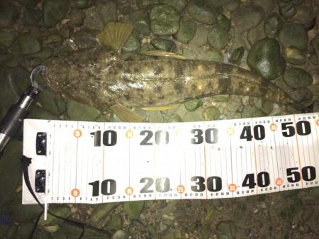 ハイシーズンを逃しての紀ノ川へ