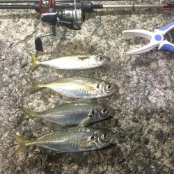 今年の年末調整１日目